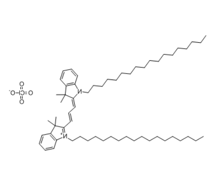 DiI(橙色荧光探针) DiI(橙色荧光探针)
