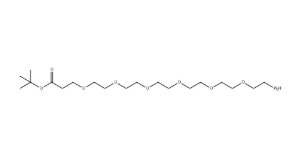 NH2-PEG6-CH2CH2COOtBu NH2-PEG6-CH2CH2COOtBu