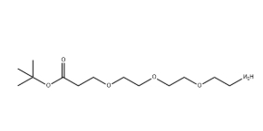 NH2-PEG3-CH2CH2COOtBu