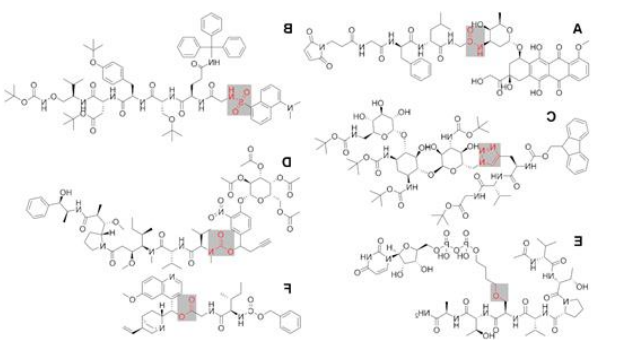 有机药物小分子与肽结合的定制技术