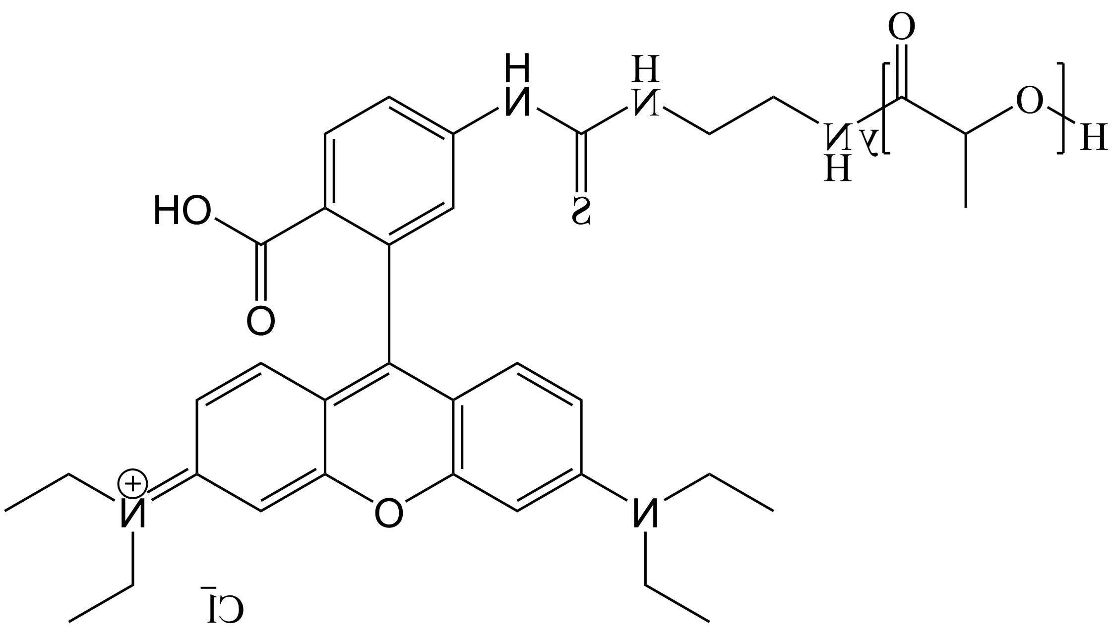 PLA-RB，聚乳酸-罗丹明B