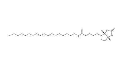 （+）-Biotin-PEG6-OH
