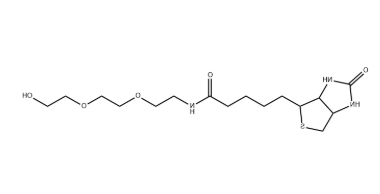 (+)-Biotin-PEG3-OH (+)-Biotin-PEG3-OH