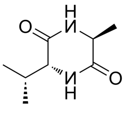 CyClo(-D-Ala-Val) 