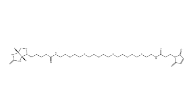 （+）-Biotin-PEG6-NH-Mal