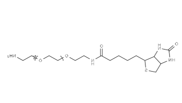 (+)-Biotin-PEG11-CH2CH2NH2 (+)-Biotin-PEG11-CH2CH2NH2