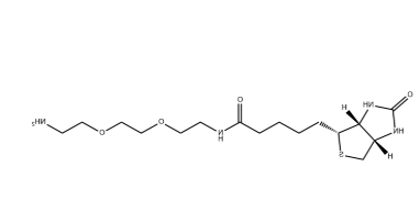 (+)-Biotin-PEG2-CH2CH2NH2 (+)-Biotin-PEG2-CH2CH2NH2