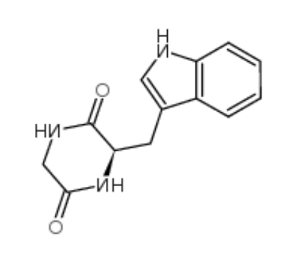 环(甘氨酰-L-色氨酰)	 