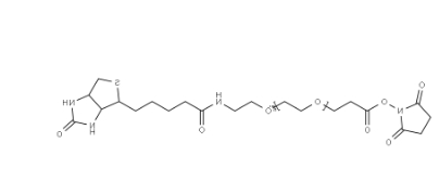 （+）-Biotin-PEG24-NHS Ester