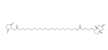 (+)-Biotin-PEG6-NHS Ester (+)-Biotin-PEG6-NHS Ester