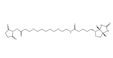 (+)-Biotin-PEG3-NHS Ester (+)-Biotin-PEG3-NHS Ester