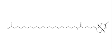 （+）-Biotin-PEG6-CH2CH2COOH