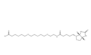 （+）-Biotin-PEG4-CH2CH2COOH