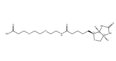 (+)-Biotin-PEG2-CH2CH2COOH (+)-Biotin-PEG2-CH2CH2COOH