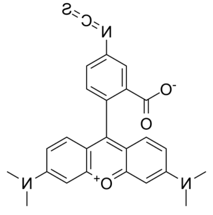 四甲基罗丹明-5-异硫氰酸	 
