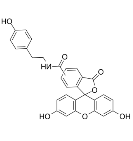 	Fluorescein tyramide 