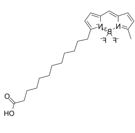 BODIPY 500/510 C1, C12 