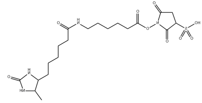 SULFO-NHS-LC-脱硫生物素 