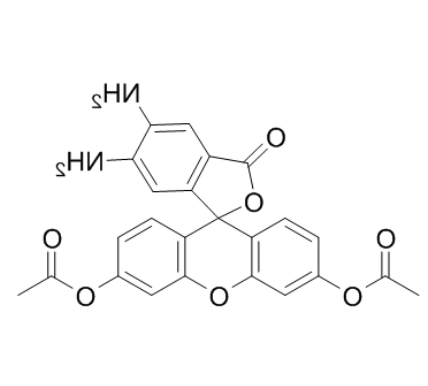 4,5-二氨基荧光素二乙酸酯 