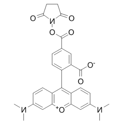 5-TAMRA-SE 