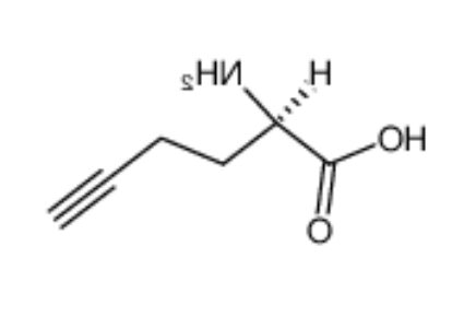 L-Homopropargylglycine (HPG) 