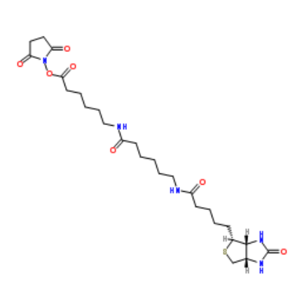 Biotin-LC-LC-NHS Biotin-LC-LC-NHS