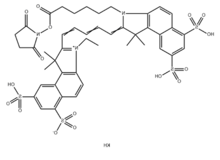 Cy5.5 N-羟基琥珀酰亚胺酯	 