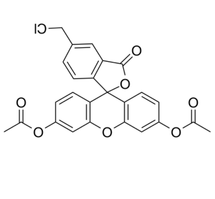 5-氯甲基荧光素二乙酸酯 