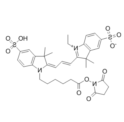 CY3-NHS酯	 