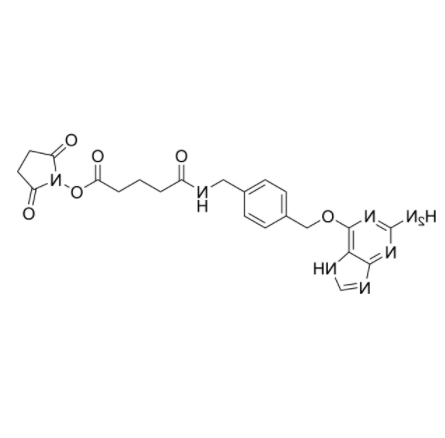 2-Aminopurine-O-Ph-NHCO-C3-NHS ester 