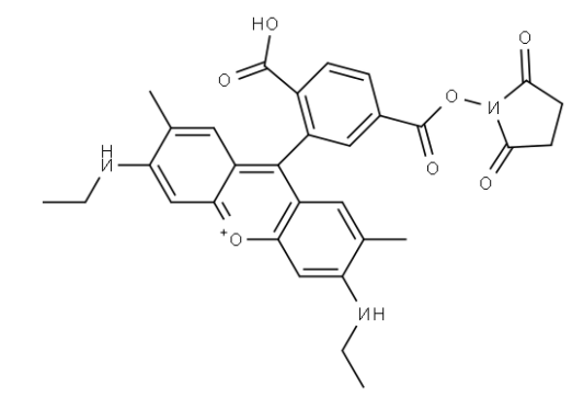 6-罗丹明6G-NHS 活化酯  