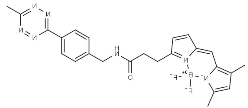 BDP FL methyltetrazine 