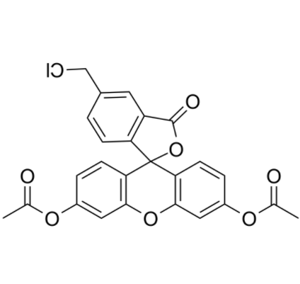 5-氯甲基荧光素二乙酸酯	 