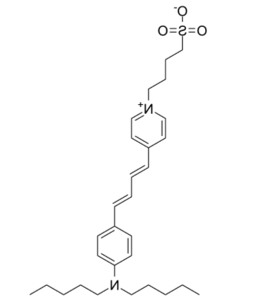 RH 421 RH 421