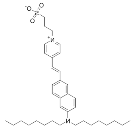 Di-8-ANEPPS Di-8-ANEPPS