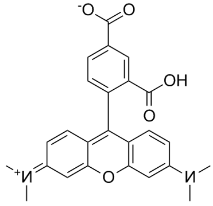 5-羧基四甲基罗丹明 5-羧基四甲基罗丹明