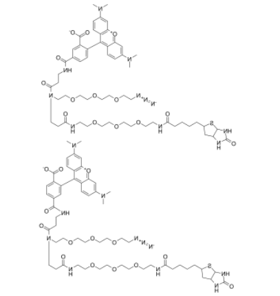TAMRA-Azide-PEG-Biotin 
