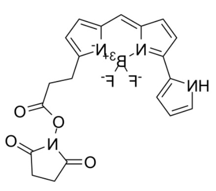  Py-BODIPY-NHS ester