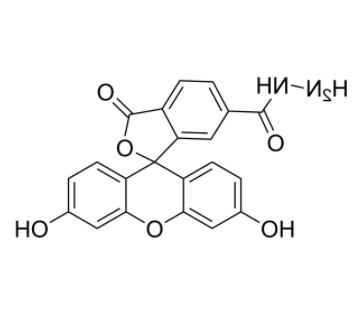 FAM hydrazide, 6-isomer 