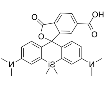 SIR-6-COOH 