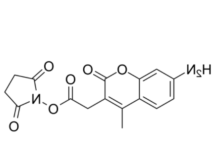 7-氨基-4-甲基香豆素-3-乙酸 N-琥珀酰亚胺酯 
