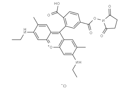 6-罗丹明6G-NHS 活化酯 