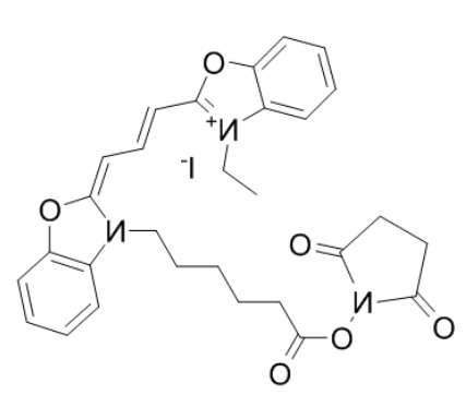 Cyanine2-NHS 
