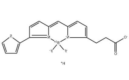 BODIPY 558/568 COOH 