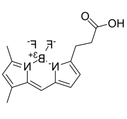 3-Bodipy-propanoic Acid 