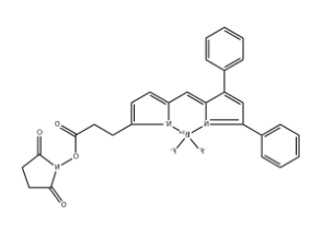BODIPY 530/550 NHS Ester
