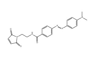 6-Carboxyrhodamine 110 NHS Ester
