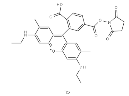 6-罗丹明6G-NHS 活化酯 