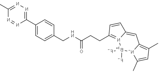 BDP FL methyltetrazine 