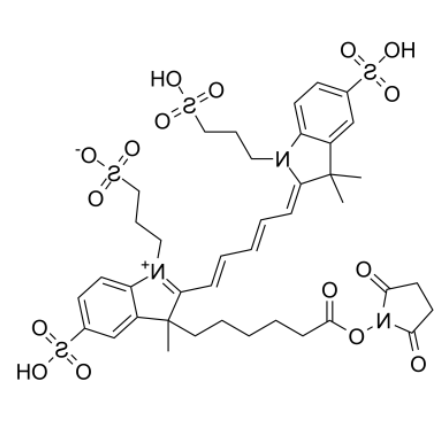AF647-NHS ester 